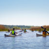 kajakpaddling på mälaren